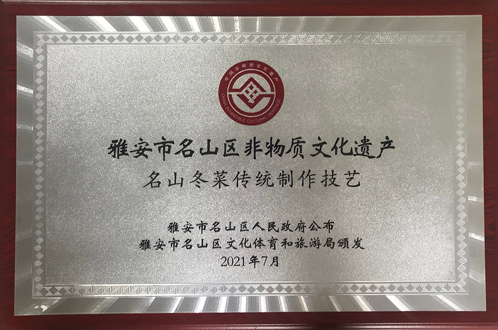 山東省工程師協會專業委員會工作會議在集團召開